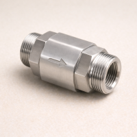 Обратный клапан G-S AISI 304 DN 65 (70х2,0)